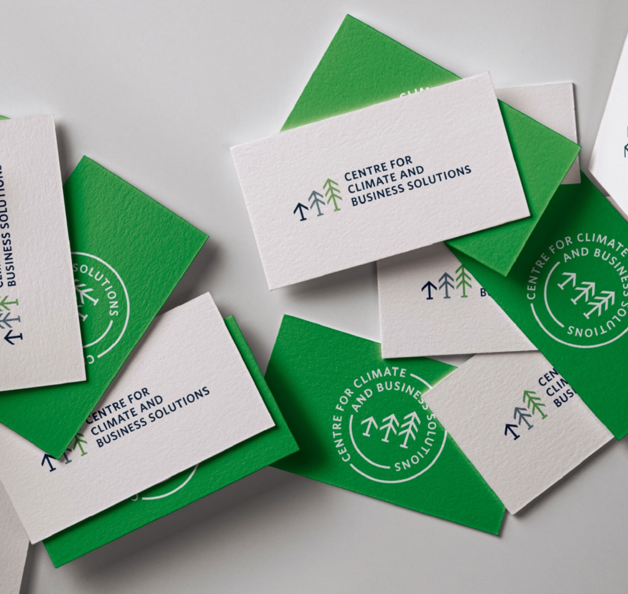 Centre for Climate and Business Solutions