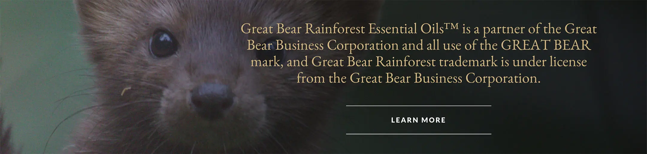 Great Bear Rainforest Essential Oils call-to-action on CFN website