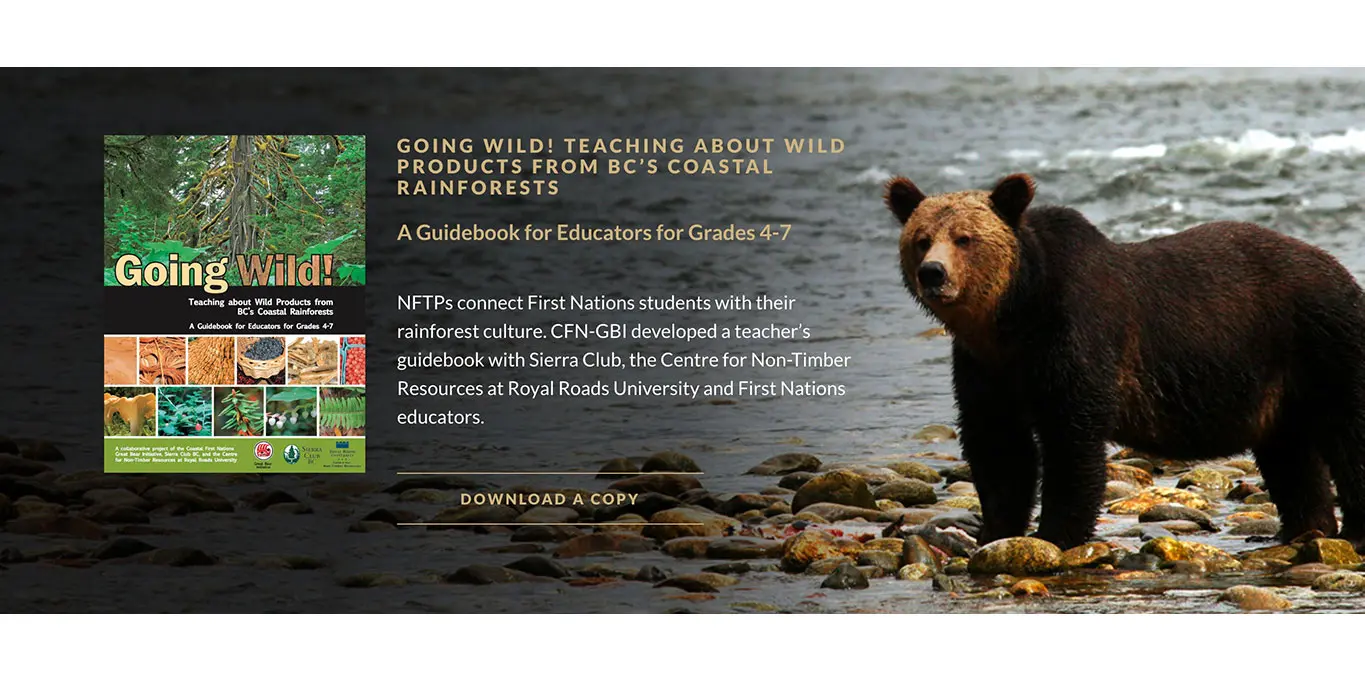 Call-to-action for an educators guidebook download