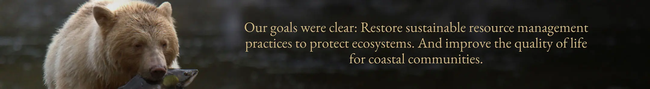 Pull quote highlighting CFN goals