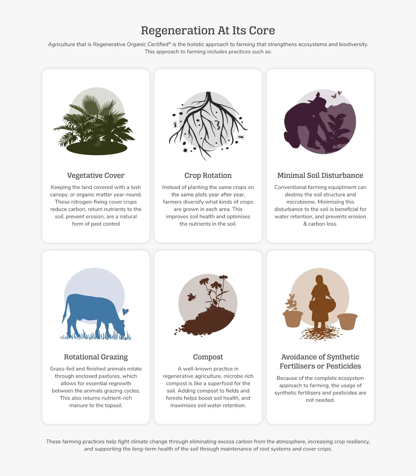 Salt Spring Coffee regenerative organic agriculture page design