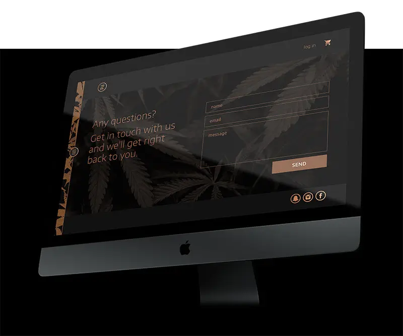 Zero Zero website contact page with form and social links